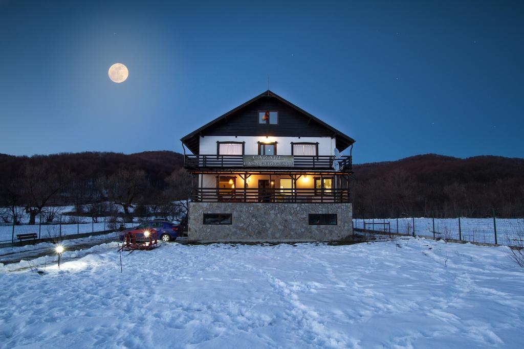 Hotel Casa Georgescu Rîşnov Exteriér fotografie